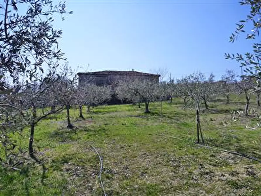 Immagine 7 di Rustico / casale in vendita  in Via Cà Giorgino a Montegridolfo