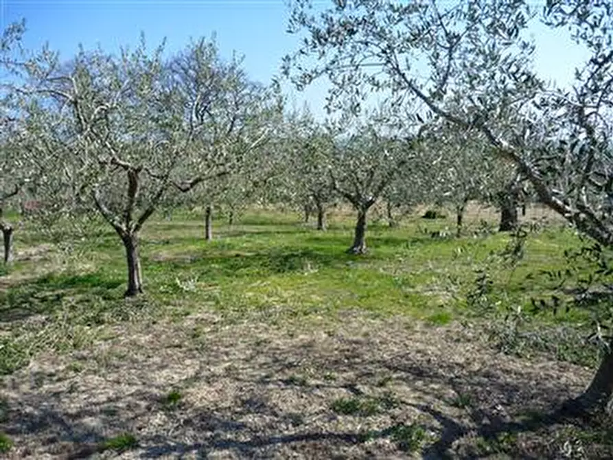 Immagine 9 di Rustico / casale in vendita  in Via Cà Giorgino a Montegridolfo