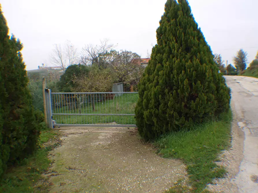 Immagine 4 di Villetta a schiera in vendita  a Trecastelli