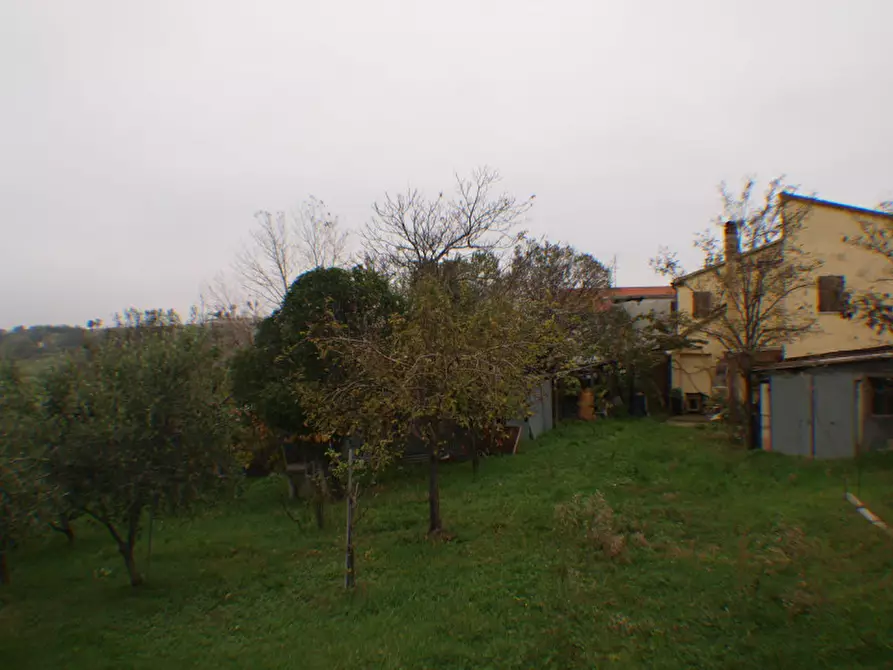 Immagine 7 di Villetta a schiera in vendita  a Trecastelli