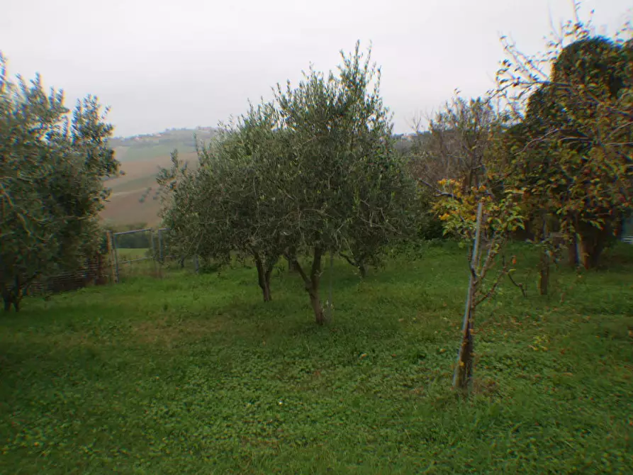 Immagine 8 di Villetta a schiera in vendita  a Trecastelli