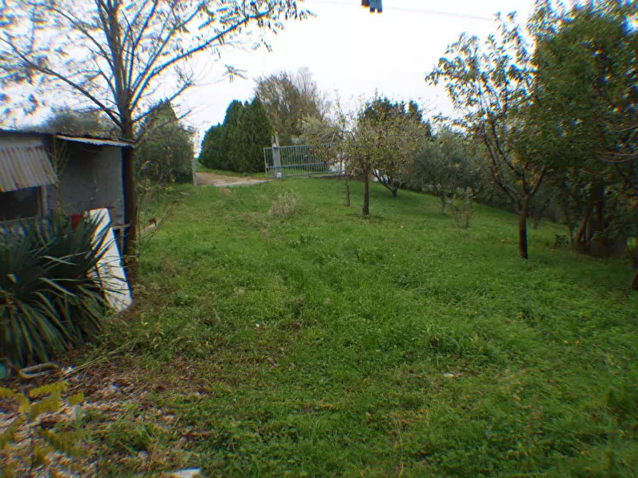 Immagine 11 di Villetta a schiera in vendita  a Trecastelli