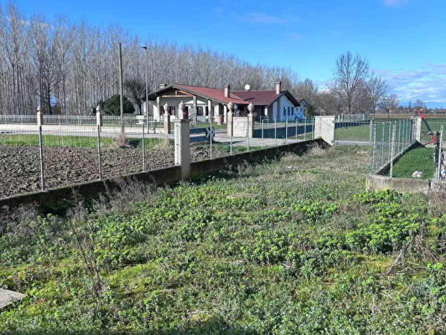 Immagine 3 di Villetta a schiera in vendita  a Gruaro