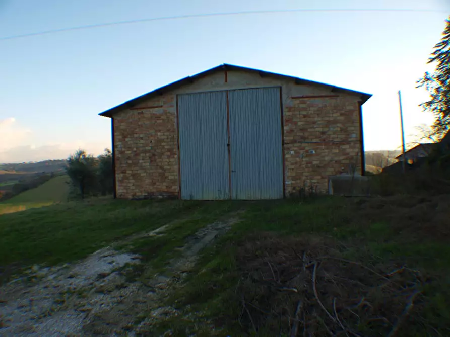 Immagine 3 di Capannone industriale in vendita  a Senigallia