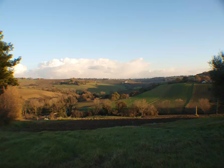 Immagine 5 di Capannone industriale in vendita  a Senigallia