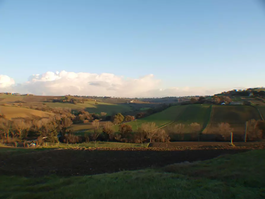 Immagine 6 di Capannone industriale in vendita  a Senigallia
