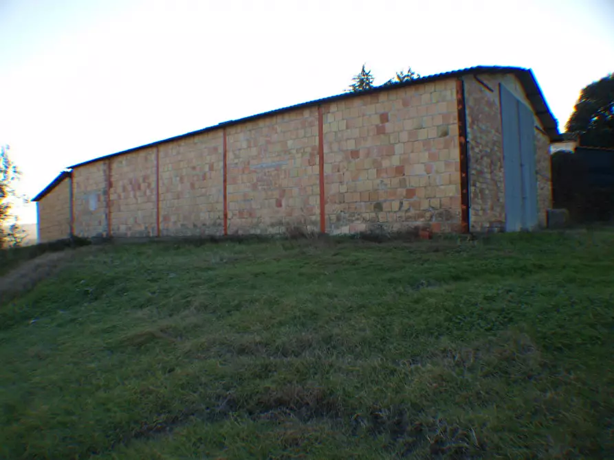 Immagine 7 di Capannone industriale in vendita  a Senigallia