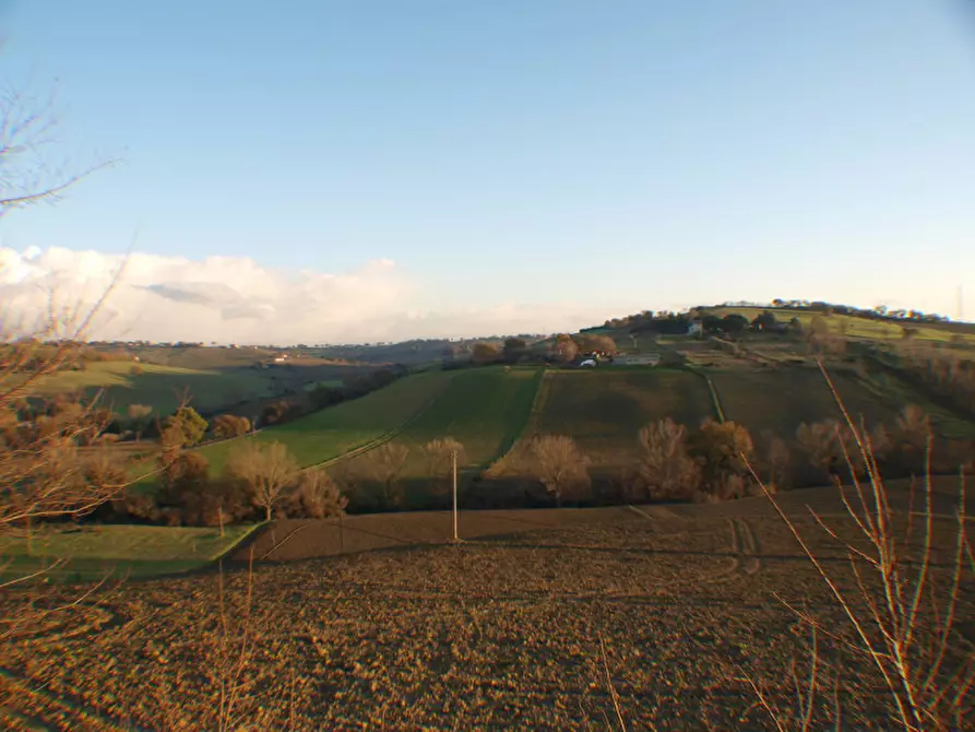 Immagine 9 di Capannone industriale in vendita  a Senigallia