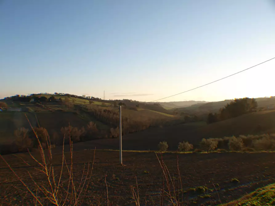 Immagine 10 di Capannone industriale in vendita  a Senigallia