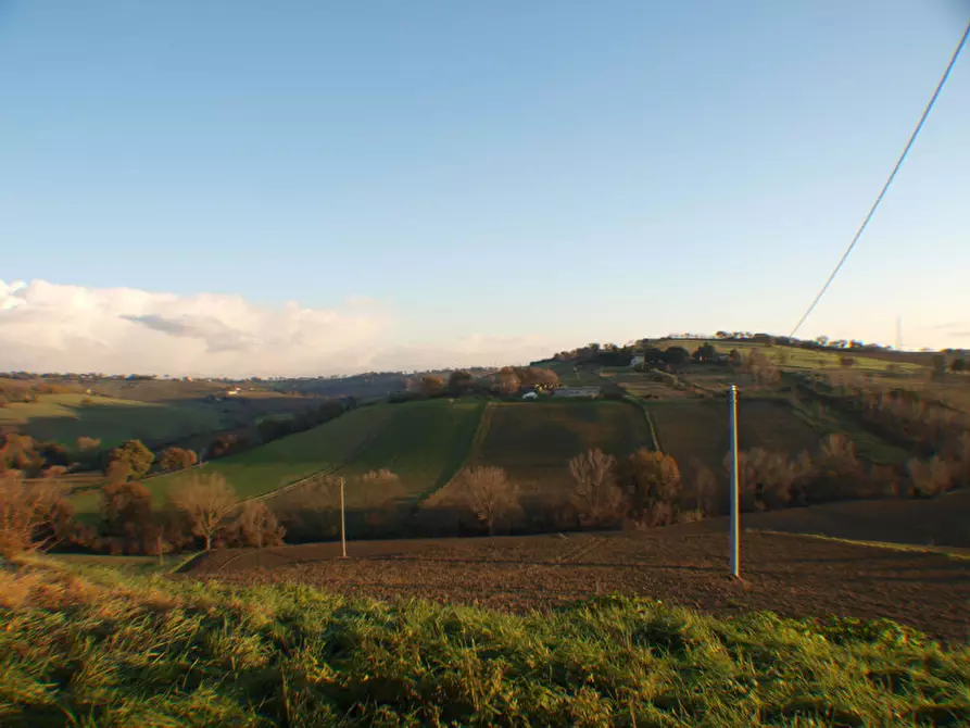 Immagine 16 di Capannone industriale in vendita  a Senigallia