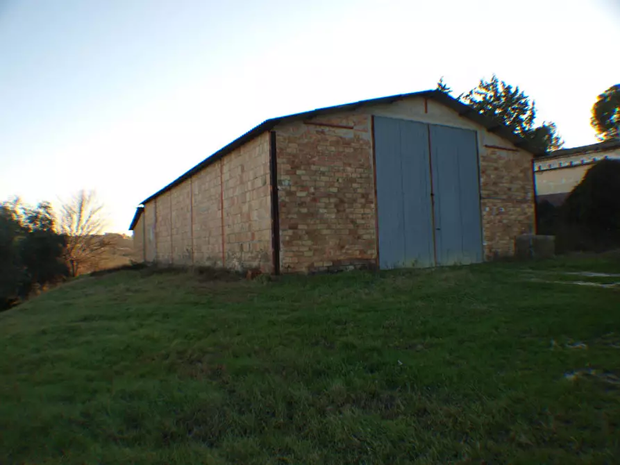 Immagine 19 di Capannone industriale in vendita  a Senigallia