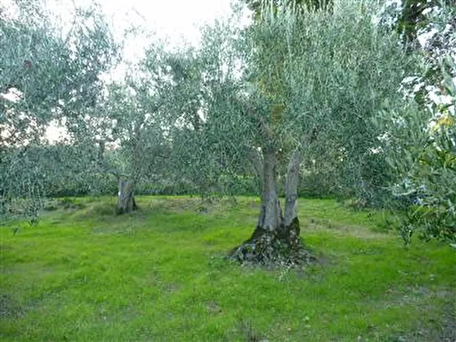 Immagine 3 di Rustico / casale in vendita  in Via San Pietro a Montegridolfo