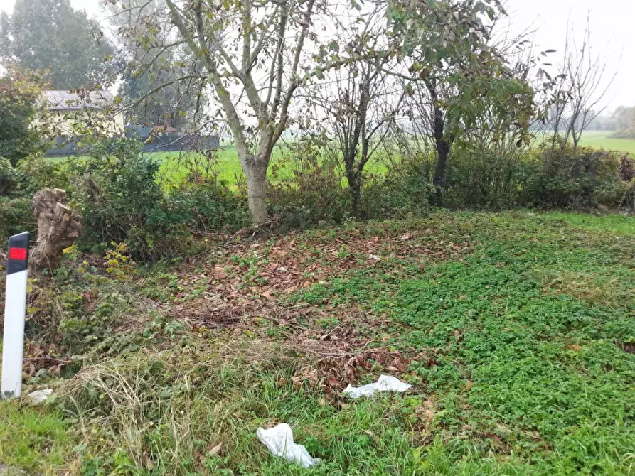 Immagine 4 di Rustico / casale in vendita  in via sega a Piazzola Sul Brenta