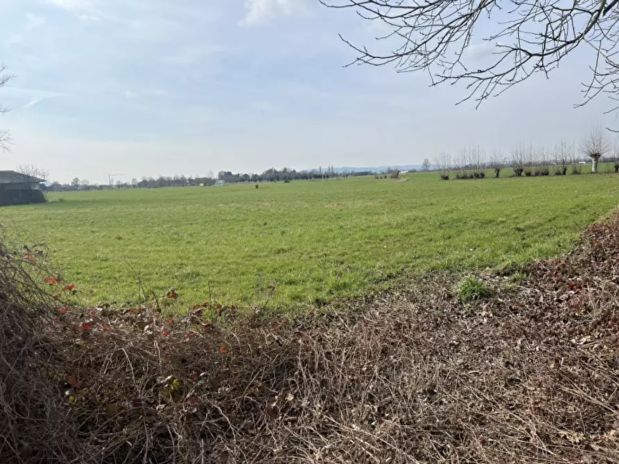 Immagine 7 di Rustico / casale in vendita  in via sega a Piazzola Sul Brenta