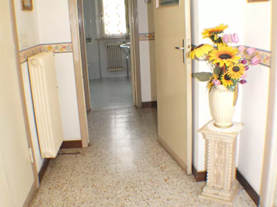 Immagine 4 di Appartamento in vendita  a Senigallia