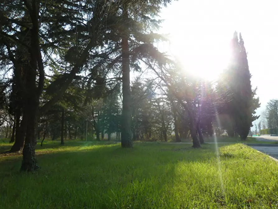 Immagine 9 di Terreno in vendita  a Tregnago