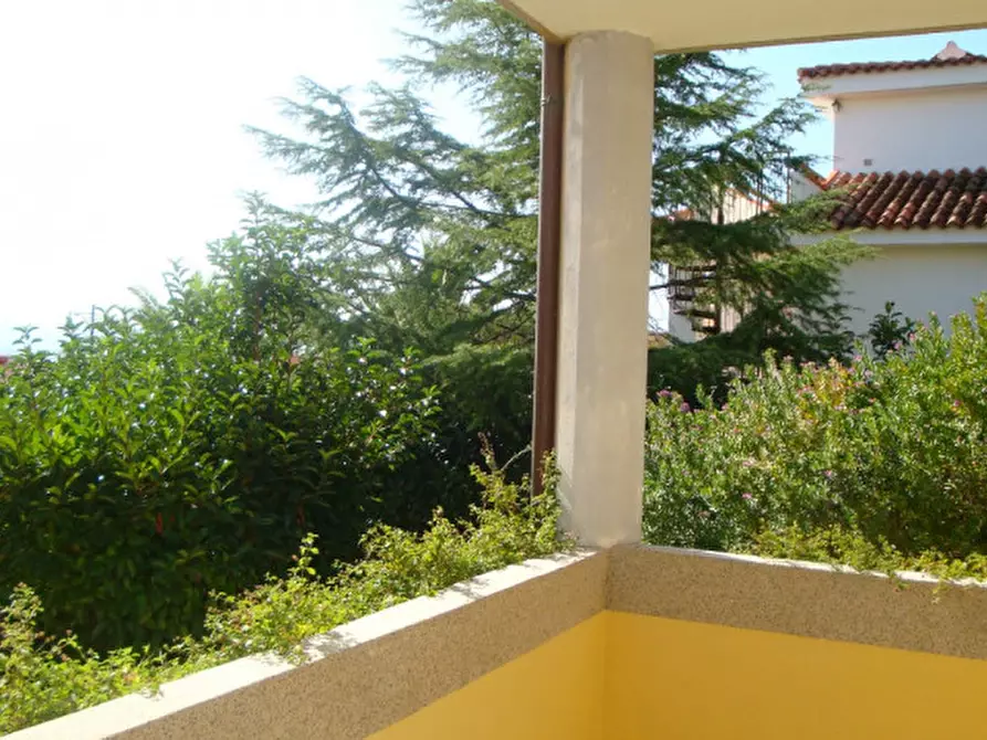 Immagine 16 di Appartamento in vendita  a Olbia