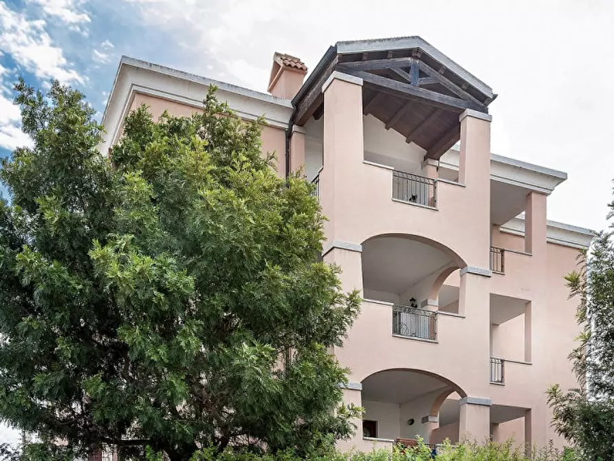 Immagine 3 di Appartamento in vendita  a Olbia