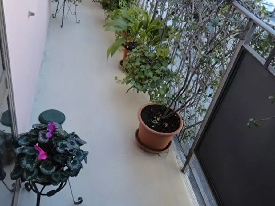 Immagine 3 di Appartamento in affitto  in Via Tiepolo a Padova