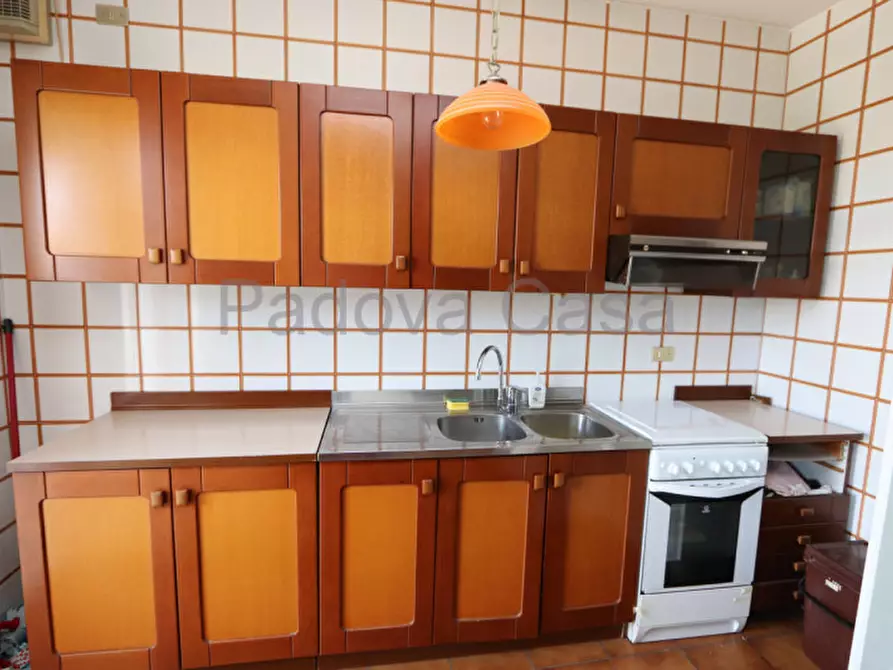 Immagine 4 di Appartamento in vendita  a Vigodarzere