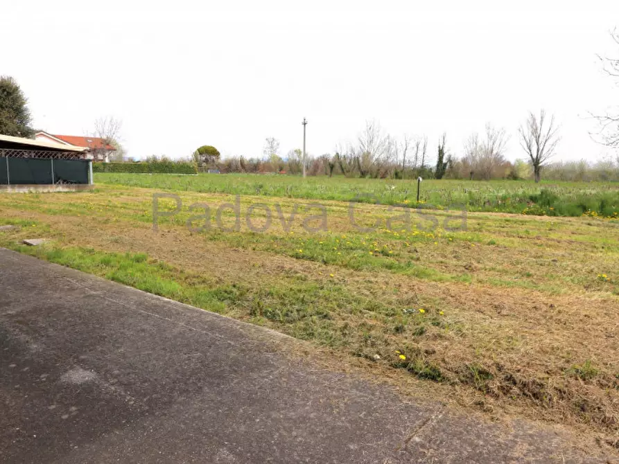 Immagine 13 di Casa bifamiliare in vendita  a Vigodarzere