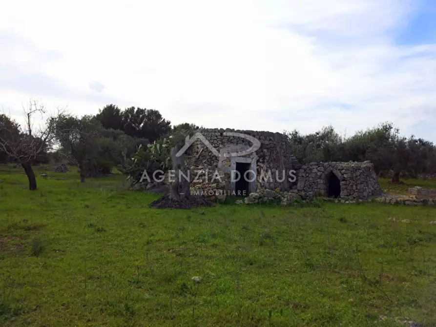 Immagine 2 di Rustico / casale in vendita  in SP 202, 51 a Racale