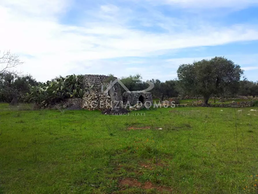 Immagine 3 di Rustico / casale in vendita  in SP 202, 51 a Racale