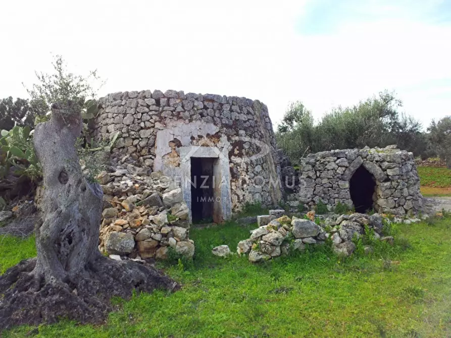 Immagine 4 di Rustico / casale in vendita  in SP 202, 51 a Racale