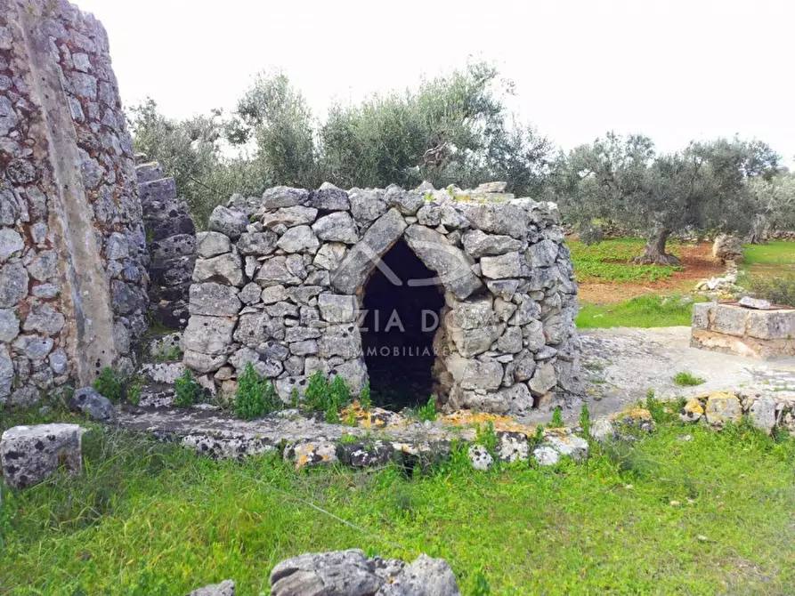 Immagine 6 di Rustico / casale in vendita  in SP 202, 51 a Racale