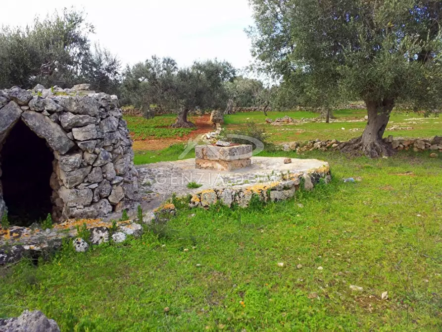 Immagine 7 di Rustico / casale in vendita  in SP 202, 51 a Racale