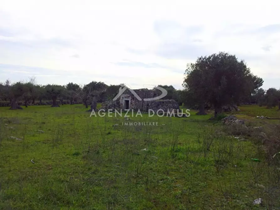 Immagine 8 di Rustico / casale in vendita  in SP 202, 51 a Racale