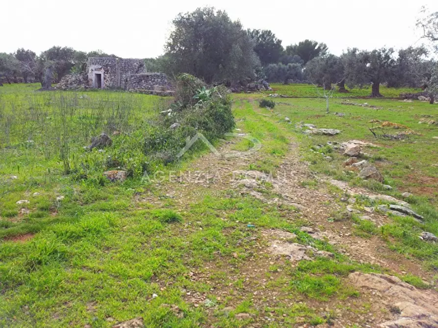 Immagine 9 di Rustico / casale in vendita  in SP 202, 51 a Racale