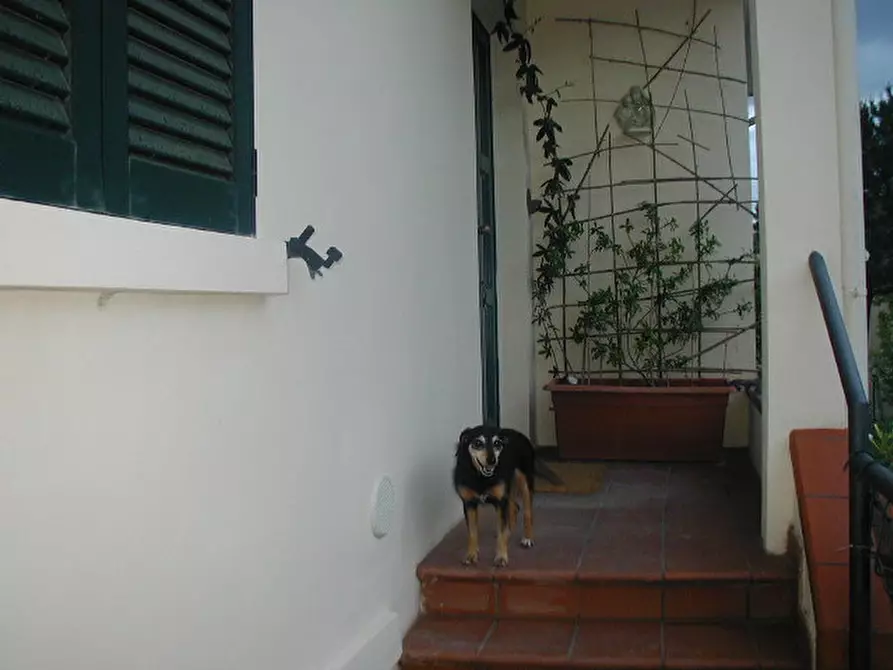 Immagine 11 di Casa indipendente in vendita  a Senigallia