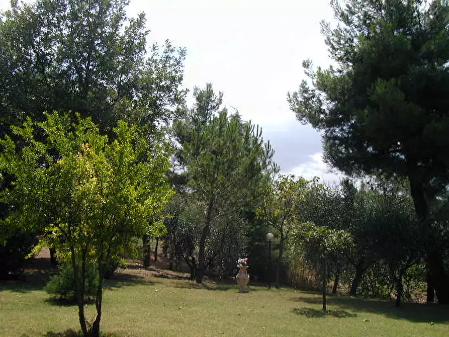 Immagine 15 di Casa indipendente in vendita  a Senigallia