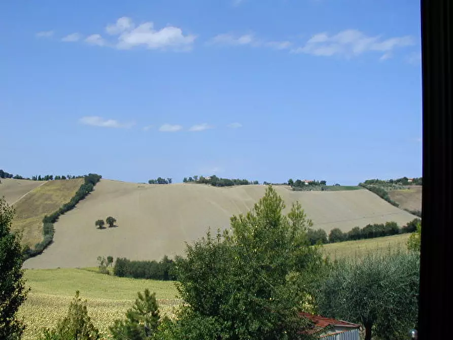 Immagine 16 di Casa indipendente in vendita  a Senigallia