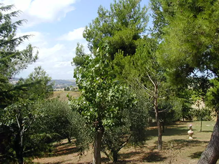 Immagine 19 di Casa indipendente in vendita  a Senigallia