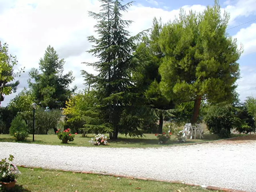 Immagine 20 di Casa indipendente in vendita  a Senigallia
