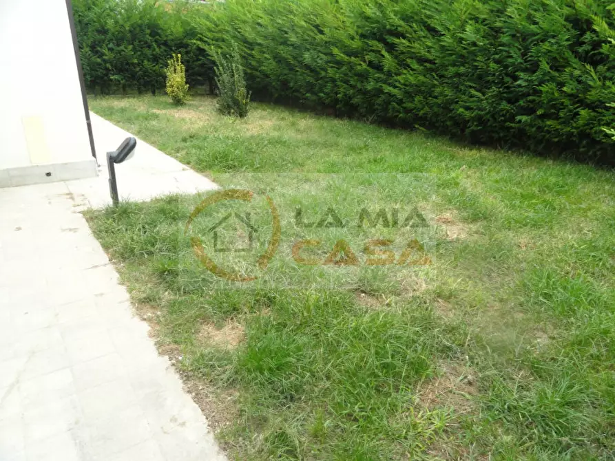 Immagine 9 di Camera in affitto  in via Orsaretto 15 legnaro a Legnaro