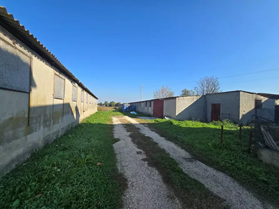 Immagine 1 di Laboratorio in vendita  in Fosso' Sandon a Fosso'