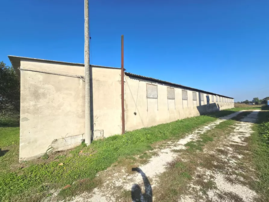 Immagine 2 di Laboratorio in vendita  in Fosso' Sandon a Fosso'