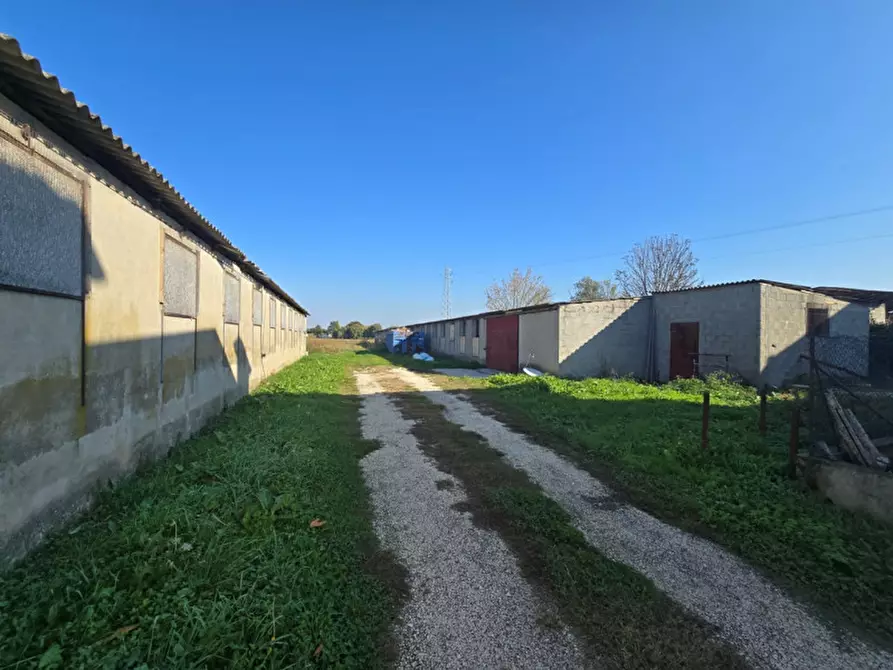 Immagine 4 di Laboratorio in vendita  in Fosso' Sandon a Fosso'