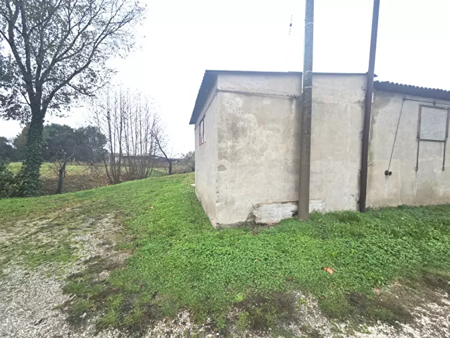 Immagine 5 di Laboratorio in vendita  in Fosso' Sandon a Fosso'