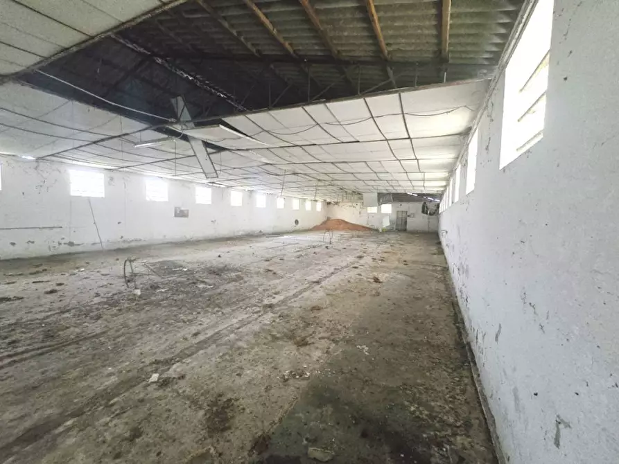 Immagine 7 di Laboratorio in vendita  in Fosso' Sandon a Fosso'