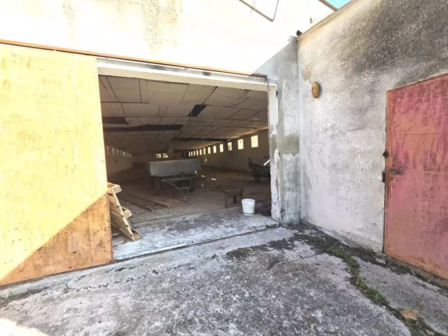 Immagine 13 di Laboratorio in vendita  in Fosso' Sandon a Fosso'