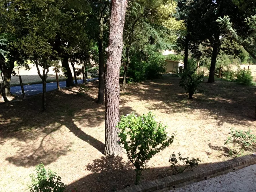 Immagine 39 di Rustico / casale in vendita  a Senigallia