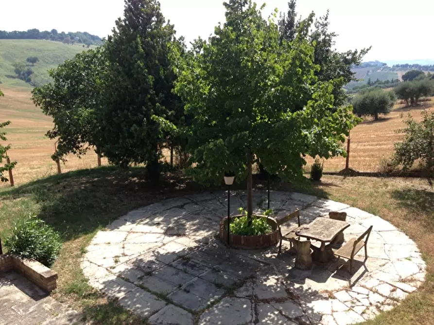 Immagine 48 di Rustico / casale in vendita  a Senigallia