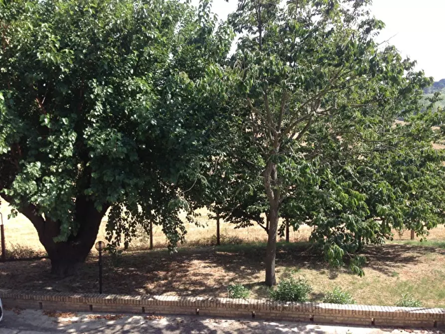 Immagine 49 di Rustico / casale in vendita  a Senigallia