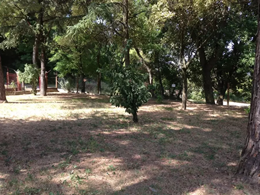 Immagine 53 di Rustico / casale in vendita  a Senigallia