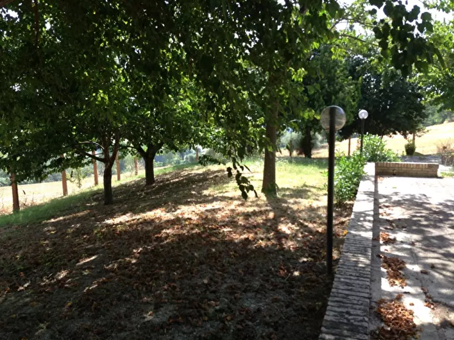 Immagine 55 di Rustico / casale in vendita  a Senigallia