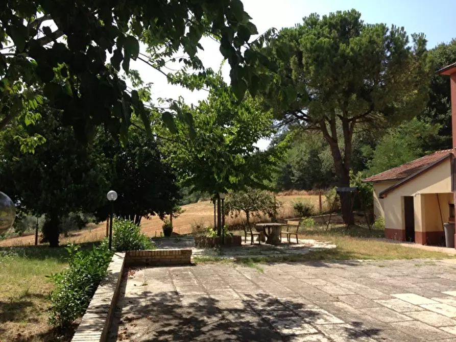 Immagine 56 di Rustico / casale in vendita  a Senigallia